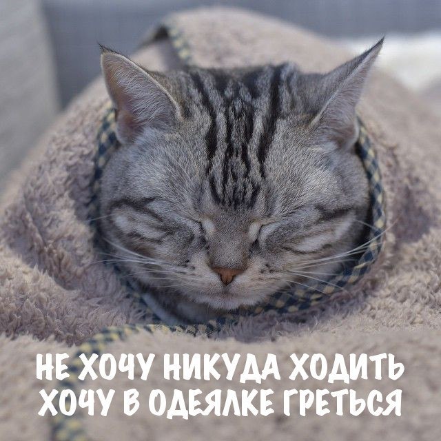  !