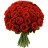 ���� Souhil, ���� - ��������� 11 ����� 2021