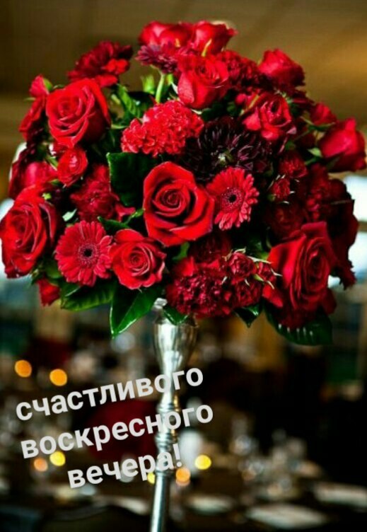   ,    . - 28  2021  18:08 - 5