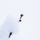  Shnoyi,  -  29  2021    