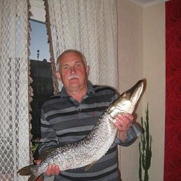 ������, �����-���������, 69 ���