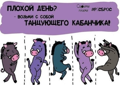        . -      ... - 5