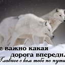  , -, 55  -  20  2020    