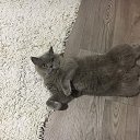 ���� ������ �� ���!, ������ - ��������� 25 ����� 2021 � ������ ������ ��������