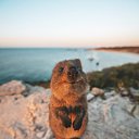���� ������, �������� - ��������� 21 ������� 2020 � ������ ���� ����������
