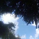 ���� �����, ������, 58 ��� - ��������� 21 ������� 2020 � ������ ���� ����������