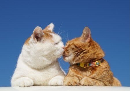  Love story - 2