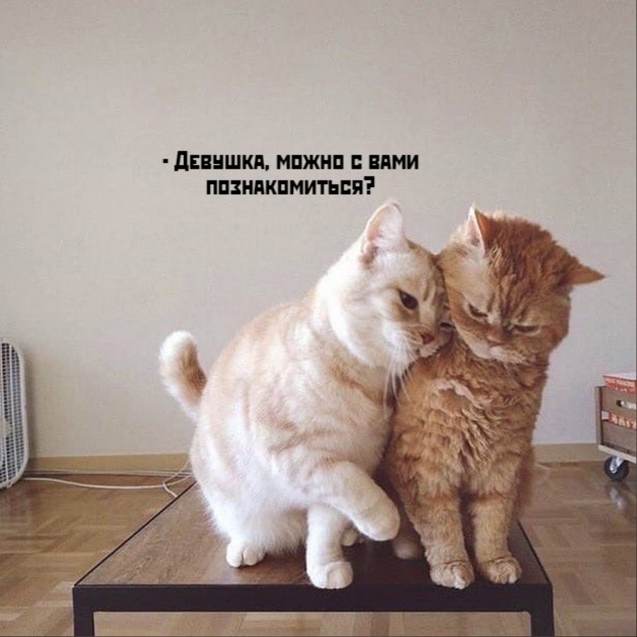       - 10  2020  18:59