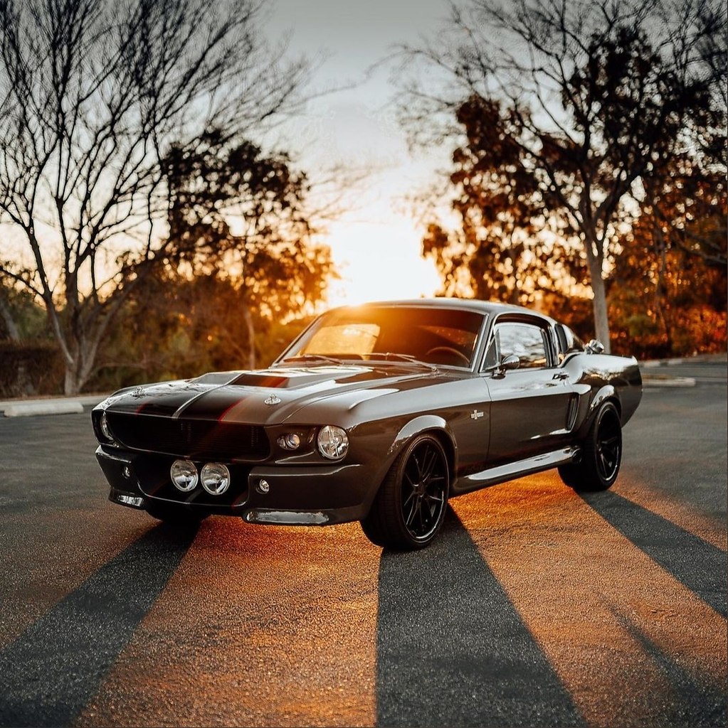 Shelby GT500