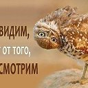 ���� ������, ������, 56 ��� - ��������� 4 ������� 2020 � ������ ���� ����������