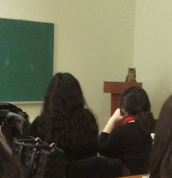  ,       ,  )))