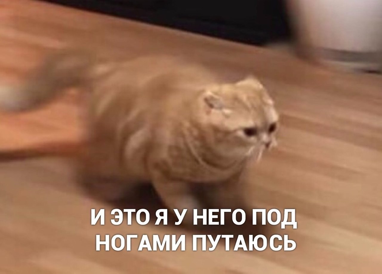   --.... - 3