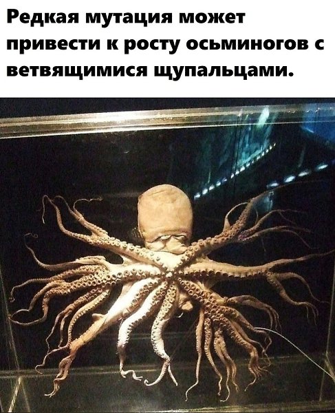 BEST | , ,  - 4  2020  19:07