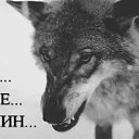 ���� ������, ���������, 51 ��� - ��������� 7 ������� 2020 � ������ ������ ��������