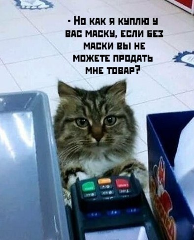 ))) - 4