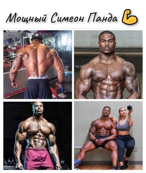   (Simeon Panda)      .     ...