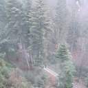 ���� �����, ��������, 53 ���� - ��������� 12 ������� 2020 � ������ �Verbrannte Felsen�