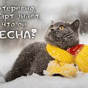 ���� ��������, �����-���������, 54 ���� - ��������� 24 ����� 2021 � ������ ������ ��������