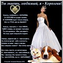  , -, 52  -  11  2020    