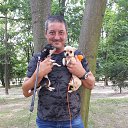 ���� ������, ����, 49 ��� - ��������� 27 �������� 2020 � ������ ���� ����������