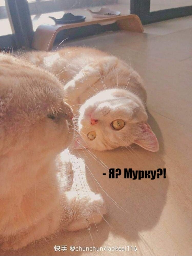 - ,      ?