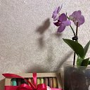 ���������-�����)))��������� �� �����!!!)))14.12.2020�. �� ������� ���� ����������