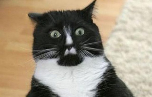 -      ?     !     ,    ... - 3