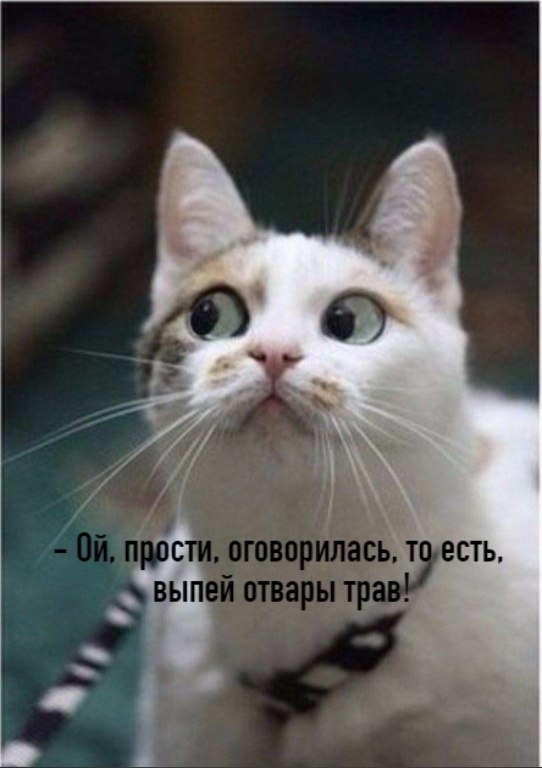       - 2  2020  18:42 - 4