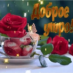 ��������, ������, 67 ���