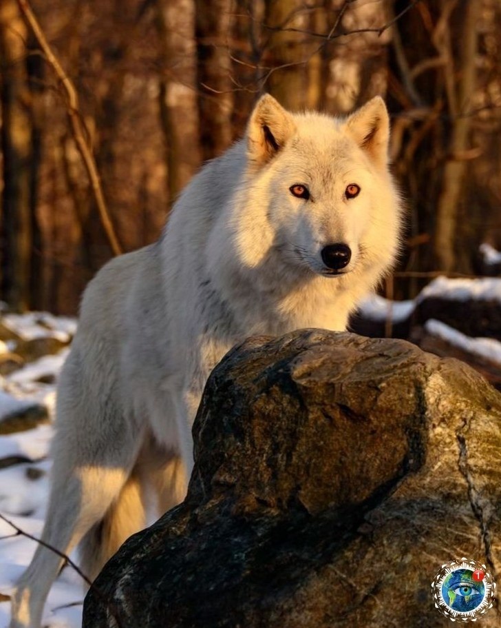 �a�a�o��a� ���a� �p�po�a.������� - 6