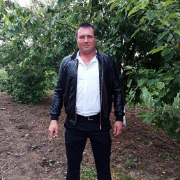 �����, ���������, 40 ���