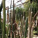  , , 68  -  9  2020    2020