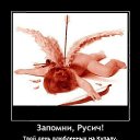   , -, 58  -  14  2021   ...  ...))