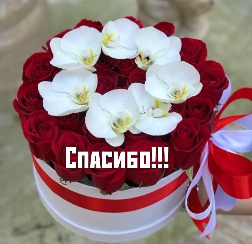 ����������� � ���������, �������� �� ������ ����. - 5 ������� 2020 � 20:44 - 7