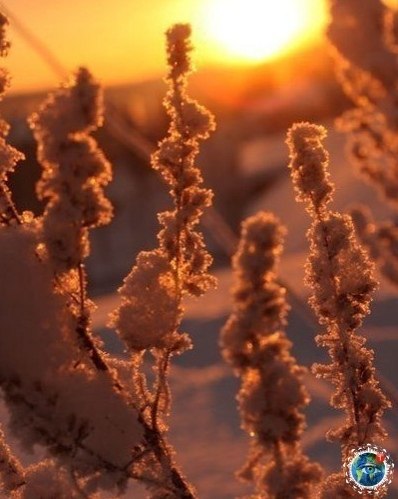 �a�a�o��a� ���a� �p�po�a.������� - 5