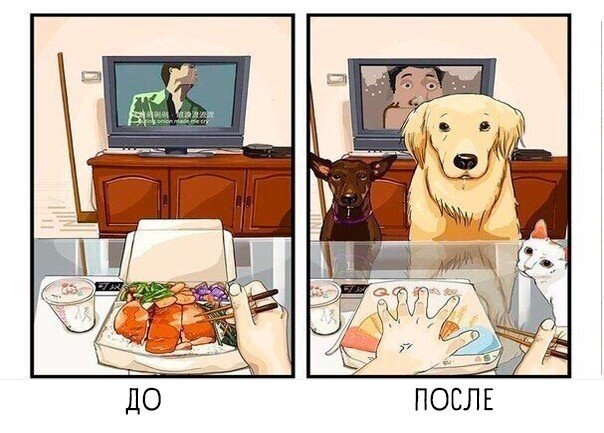  .y  ,  e o,   o. - 5
