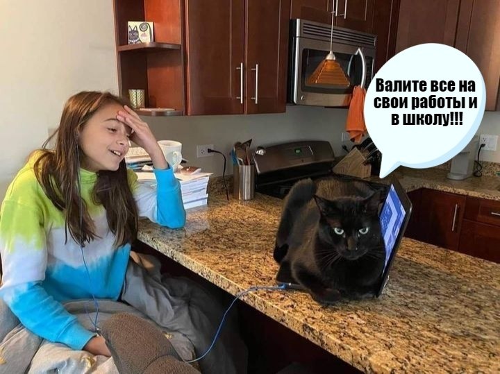    )))