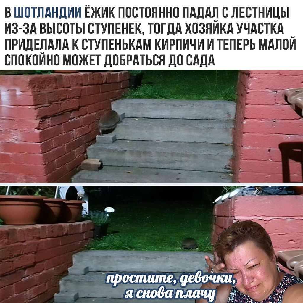    - 13  2020  18:57