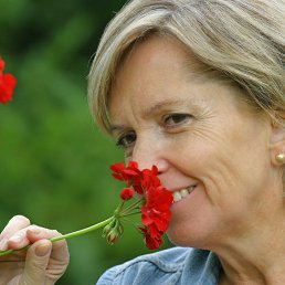 ���� Dacha, ������, 64 ���� - ��������� 25 ������� 2020