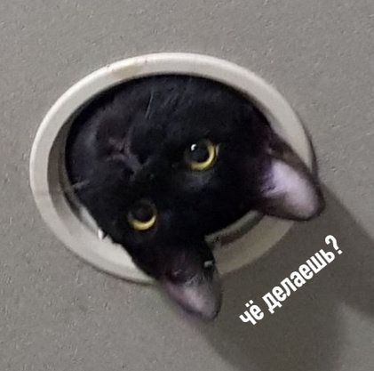 E  ap  ao  e  c coo a,    a,  o  ee  pe. - 4