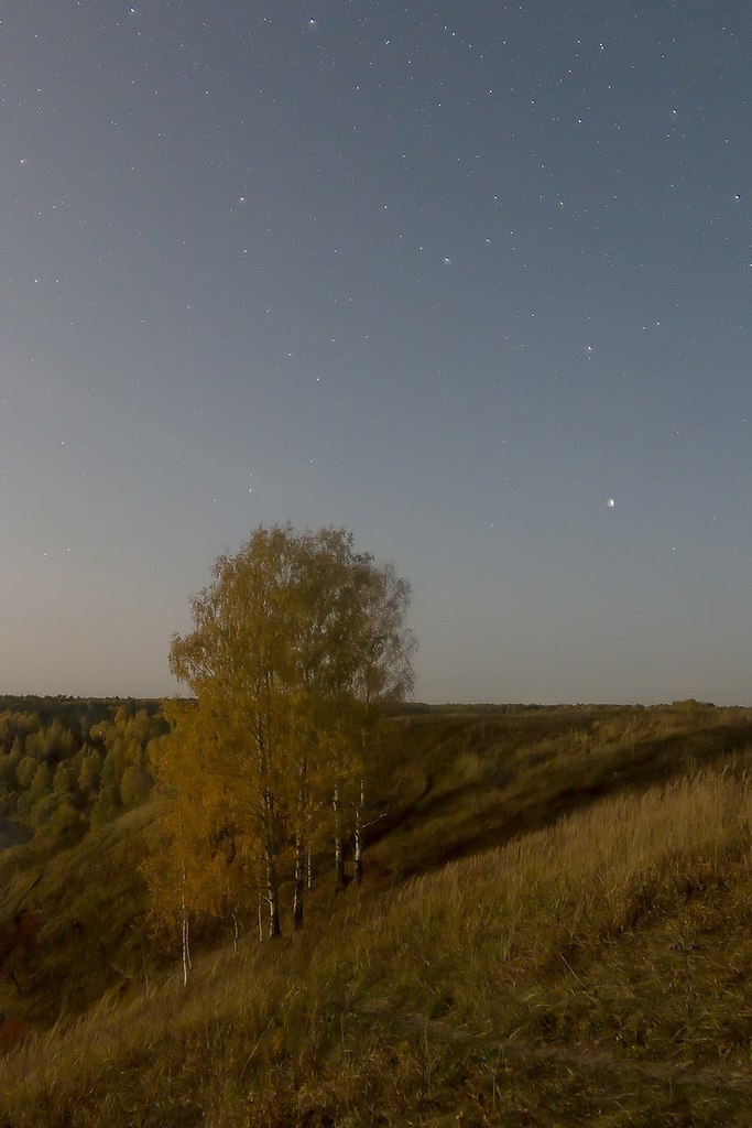 Под большой медведицей