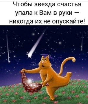   ! - 23  2020  09:03