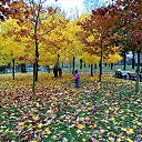 ���� Alexander, �����-���������, 70 ��� - ��������� 4 ������ 2020 � ������ ������ ��������