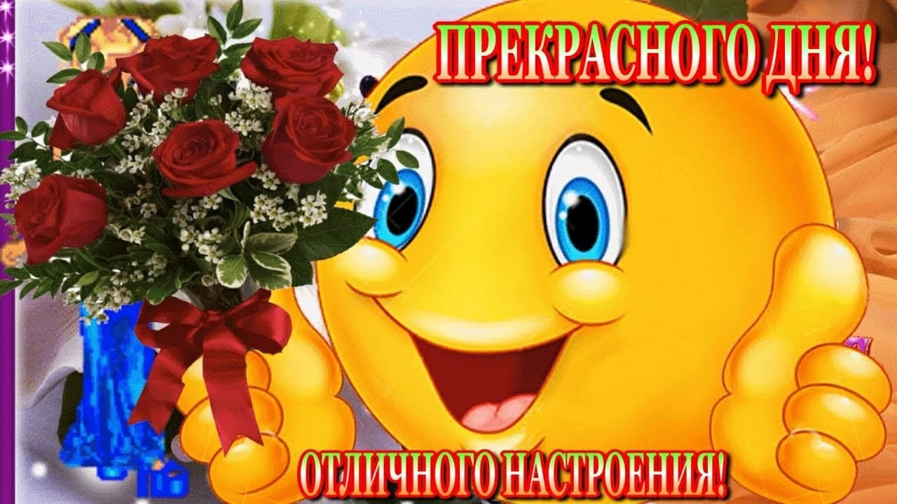   ,    . - 6  2021  14:15