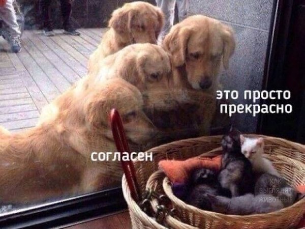        ... - 3