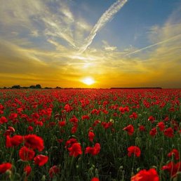 ˸��, �������-���������