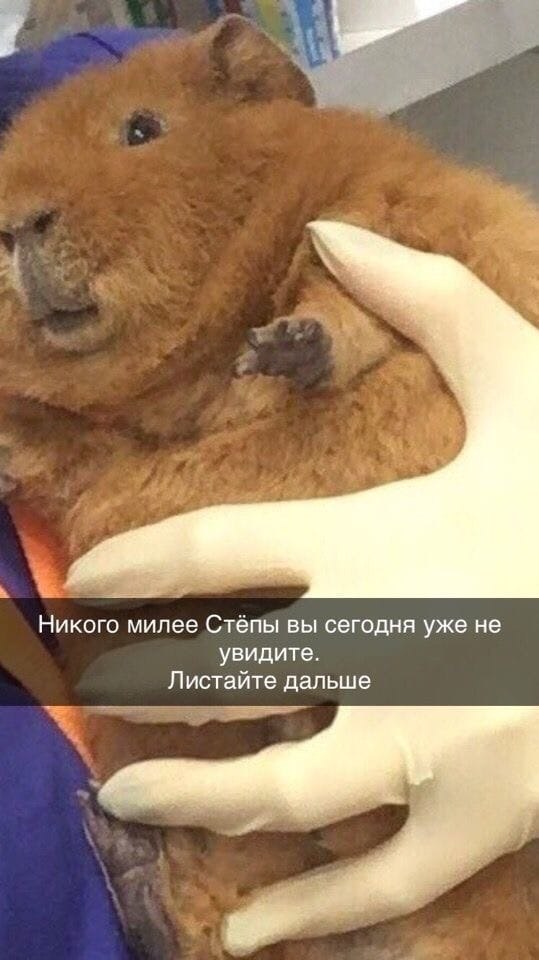   oy cee aoo Cy!) - 2