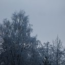 ���� �������, ����������, 54 ���� - ��������� 25 ������� 2021 � ������ �2021�