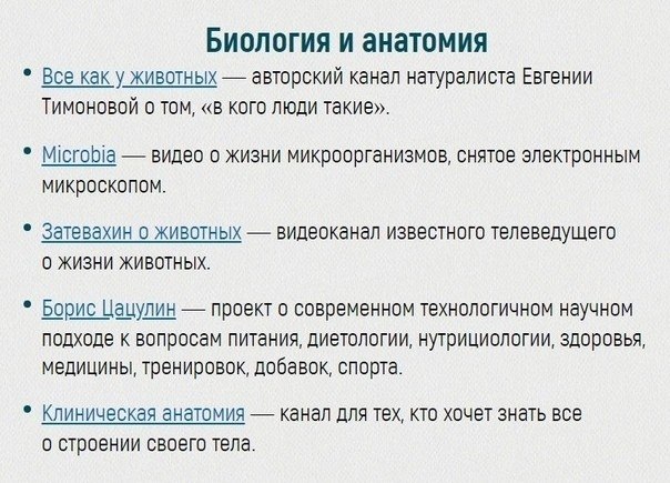 oee YuTub-aa, ooe nooy a  caopau.  o  Yuub' u ? - 8