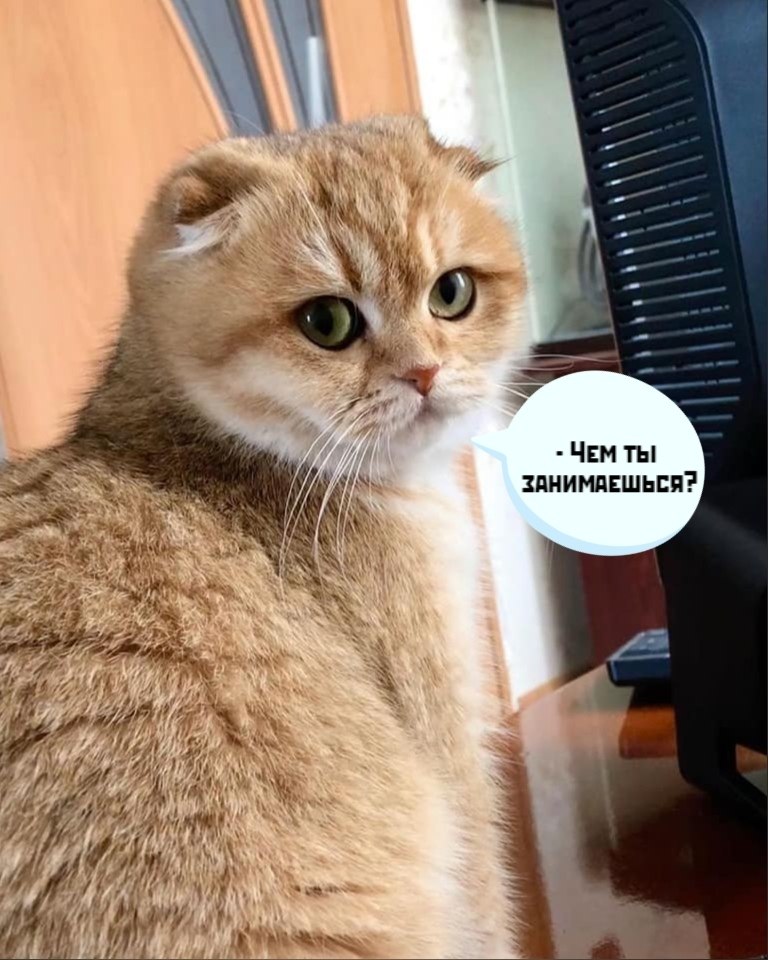       - 28  2021  22:18